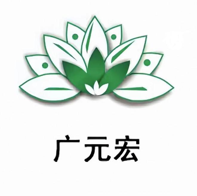 星空电子广元弘大排灯：以立异之光点亮环球美容安康市场(图1)